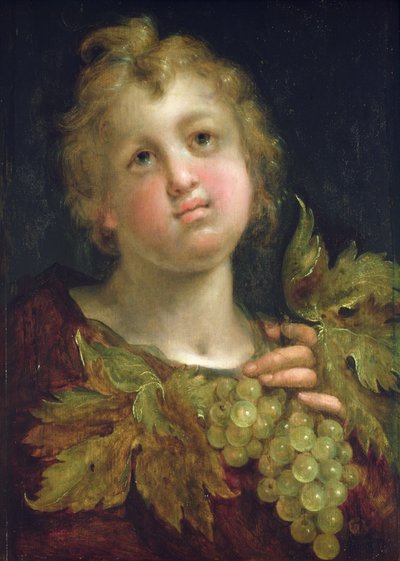 Jongen met een tros druiven, 1600-5 door Hans von Aachen